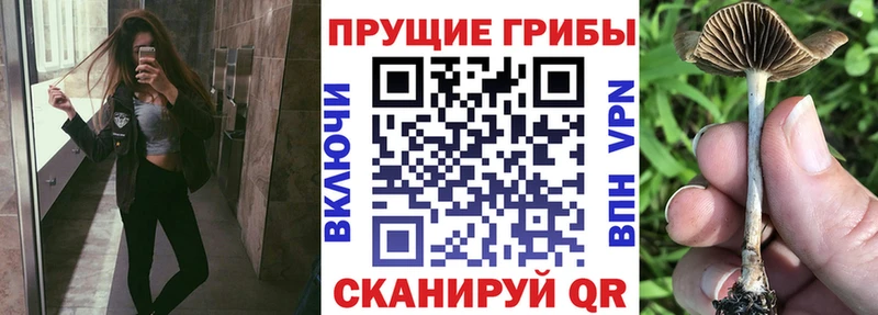 Галлюциногенные грибы ЛСД  где продают   Ликино-Дулёво 